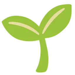 Seedling — Google