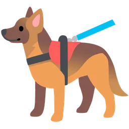 Service Dog — Google