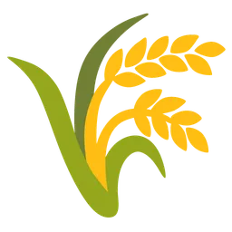 Ear of Rice — Google