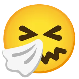 재채기하는 얼굴 — Google