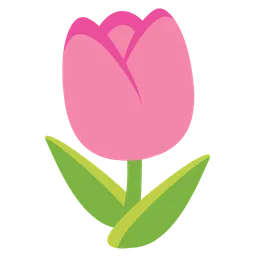 Tulip — Google