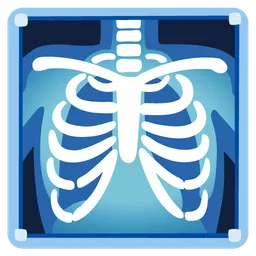 X-Ray — Google