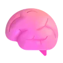 뇌