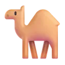낙타