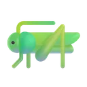 크리켓