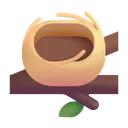 빈 둥지