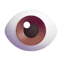 눈