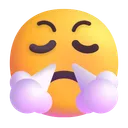코에서 김이 나는 얼굴