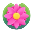 연꽃