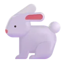 토끼