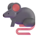 쥐