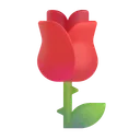장미