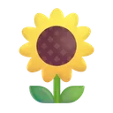 해바라기
