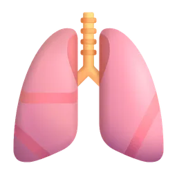 Lungs Microsoft 3D Fluent