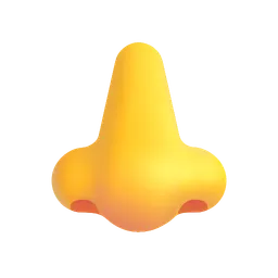 Nose Microsoft 3D Fluent