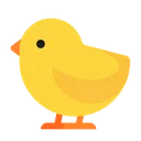 아기 병아리