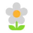 꽃