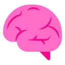 뇌