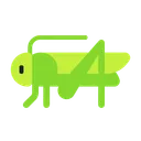 크리켓