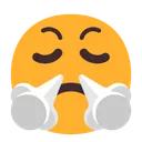 코에서 김이 나는 얼굴