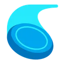 플라잉 디스크