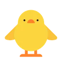 앞을 향한 아기 병아리