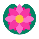 연꽃