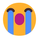 큰 소리로 우는 얼굴