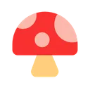 버섯