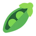 완두콩 꼬투리