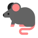 쥐