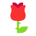 장미
