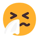 재채기하는 얼굴