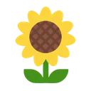 해바라기