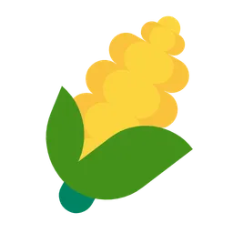 Ear of Maize — Microsoft
