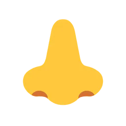 Nose — Microsoft