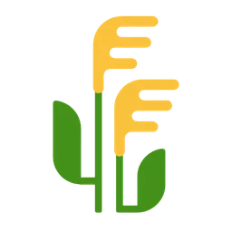 Ear of Rice — Microsoft