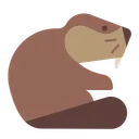 비버
