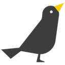 Black Bird