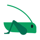 크리켓