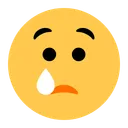 우는 얼굴