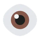 눈