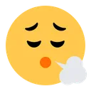 얼굴 숨 내쉬기