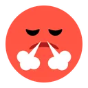 코에서 김이 나는 얼굴