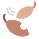 낙엽