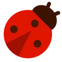 무당벌레