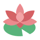 연꽃