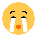 큰 소리로 우는 얼굴
