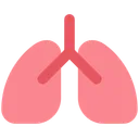 폐