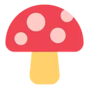 버섯